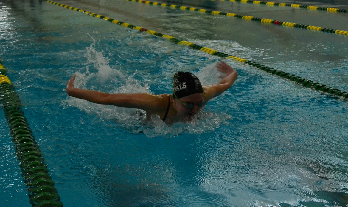 Swimming Diving Pic